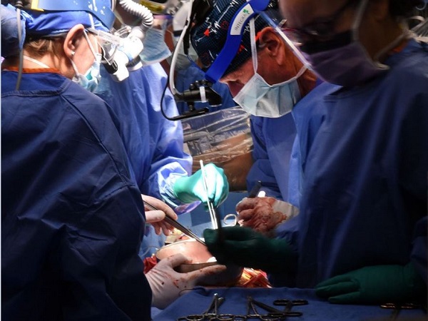 трансплантация, трансплантология, пересадка органов, пересадка сердца, свинья, ксенотрансплантация, медицина США