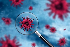 коронавирус, COVID-19, пандемия, эпидемия, call-центр, горячая линия, ликбез