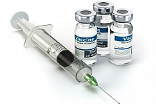 Национальный календарь прививок, профилактика, прививки, иммунизация, вакцинация