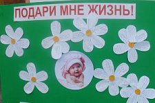 Неделя против абортов в рамках акции «Подари мне жизнь!» стартует в Приморье
