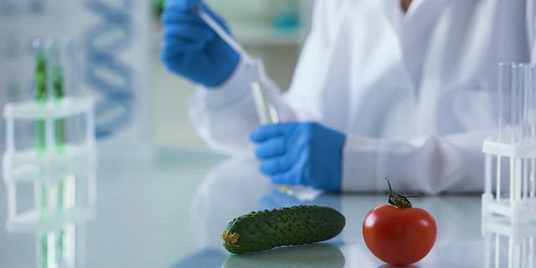 ГМО, маркировка продуктов