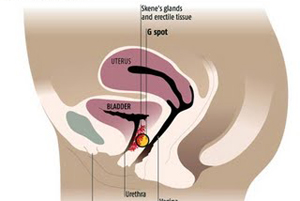 Вагинальный оргазм: как его получить, техника 