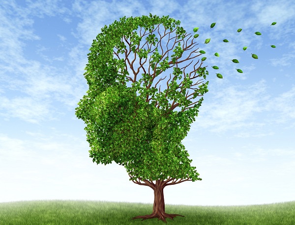 болезнь Альцгеймера, слабоумие, деменция, профилактика, нейродегенеративные болезни