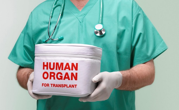 Медицина Щвейцарии, пересадка органов, трансплантология, донорство органов, трансплантация