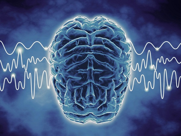 мозг, ННГУ, БФУ, нейротехнологии, транскраниальная магнитная стимуляция, исследование