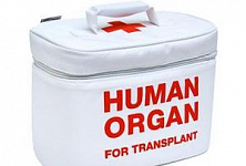 Германия потрясена скандалом с донорскими органами