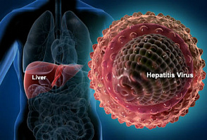 Новый препарат от гепатита с прошел последнюю фазу испытаний thumbnail