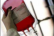 Госдума большинством голосов одобрила новый базовый закон «О донорстве крови и ее компонентов»