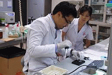Японские врачи примут больных на Сахалине