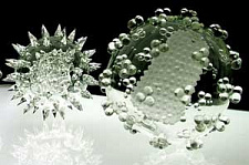 Вирус оспы: критический момент в судьбе вируса-убийцы
