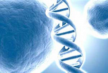 Размышления патологоанатома: генетический груз против демографии 