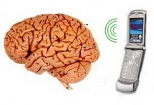 Эксперты ВОЗ подтвердили связь между использованием мобильников и опухолями мозга
