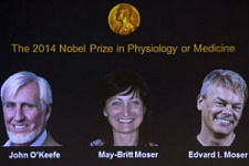 Медицинский Нобель-2014: GPS головного мозга