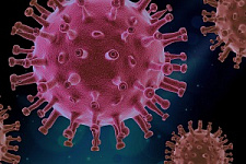 коронавирус, COVID-19, эпидемия, пандемия, расследование, воз, Китай
