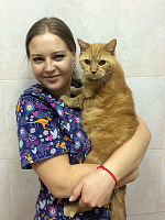 Белотелова Арина Сергеевна, ветеринарный врач, Владивосток