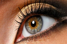 Итальянцы разработали полимерный имплант сетчатки глаза