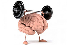 фитнес для мозга