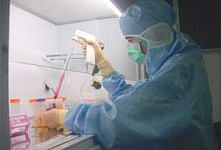 Европейцам пообещали повсеместную терапию стволовыми клетками к 2014 году