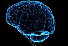 Как спасти мозг? Ученые ломают голову