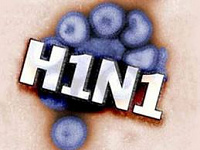 «Свиным гриппом» на Камчатке заразились четыре человека