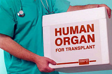 Минздрав откажет в пересадке органов тем, кто не хочет быть донором после смерти