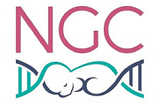 Next Generation Clinic, NGC, Алина Грачева, ВРТ, ЭКО, репродуктивное здоровье, репродуктология, планирование беременности, вспомогательные репродуктивные технологии