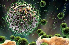 Терапия стволовыми клетками для борьбы с ВИЧ-инфекцией