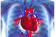 Разработана новая система классификации кардиомиопатий