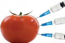В России запретили ГМО