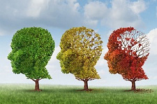 деменция, болезнь Альцгеймера, конференция, Альцрус, Александра Щеткина
