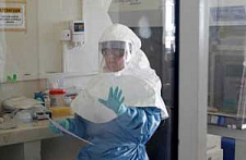 Лихорадка Эбола Приморью не грозит? 