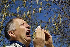 12 фактов об аллергии
