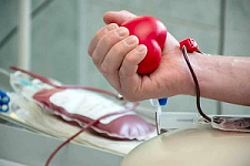 донорская акция, Донорство, доноры, Краевая станция переливания крови, Служба крови, ГИБДД