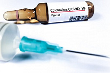 коронавирус, COVID-19, эпидемия, пандемия, вакцинация, иммунизация, прививки, Анна Симакова