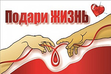 Донорство, доноры, Краевая станция переливания крови, Ольга Горева, Служба крови
