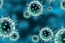 Китайские ученые разработали тест, позволяющий выявить коронавирус за 15 минут