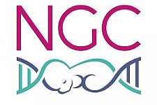 Next Generation Clinic, NGC, ЭКО, экстракорпоральное оплодотворение, репродуктивное здоровье, репродуктология, планирование беременности, розыгрыш призов, анонс