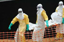 В Европе зафиксирован первый местный случай заражения лихорадкой Эбола