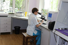 Лаборатория исследования анализов животных начала работать во Владивостоке 