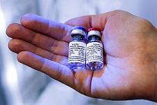 Спутник V, вакцинация, вакцина от коронавируса, коронавирус, COVID-19, опрос