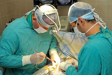 Краснодарские хирурги провели уникальную операцию по удалению опухоли