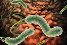Helicobacter pylori и колики у детей