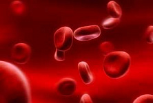 Найден короткий путь получения кроветворных клеток из кожи