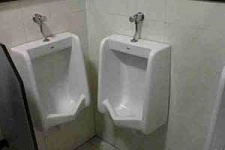 19 ноября отмечается Всемирный день туалетов 