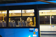 «Вирусные» автобусы появились во Владивостоке