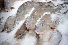 Норвегия поставляет в РФ зараженную гельминтами рыбу