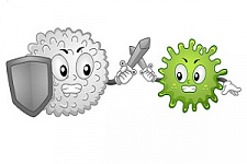 коронавирус, COVID-19, ОРВИ, грипп, свиной грипп, профилактика
