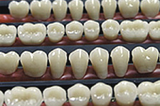 Выращивание зубов из стволовых клеток. Мнение стоматолога