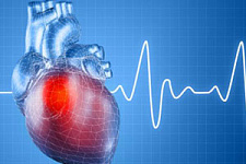 Создана основа биологического кардиостимулятора 