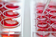 В 2012 году Минздрав России выдал 916 разрешений на все виды клинических исследований